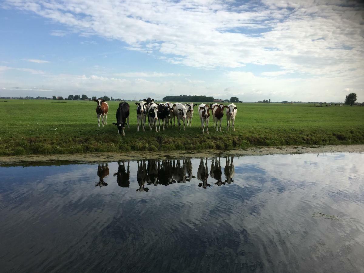 Vakantiehuis Het Voorhuis Op Landgoed Koepeltjesplaats Gaast Dış mekan fotoğraf