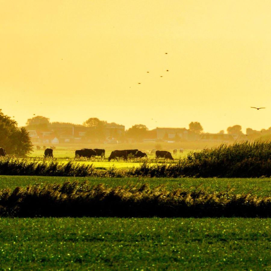 Vakantiehuis Het Voorhuis Op Landgoed Koepeltjesplaats Gaast Dış mekan fotoğraf