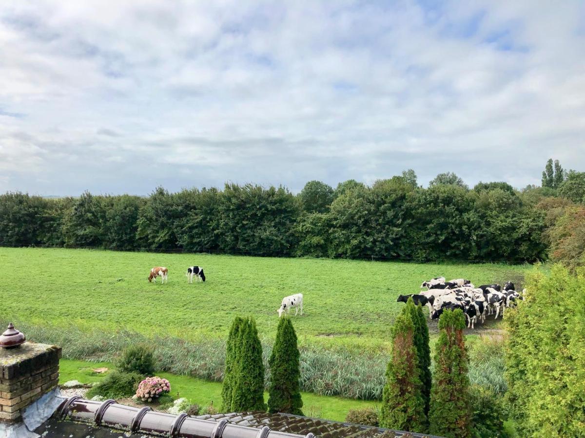 Vakantiehuis Het Voorhuis Op Landgoed Koepeltjesplaats Gaast Dış mekan fotoğraf