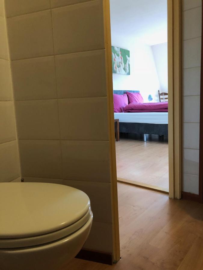 Vakantiehuis Het Voorhuis Op Landgoed Koepeltjesplaats Gaast Dış mekan fotoğraf